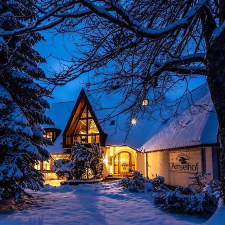 Landhaus Amselhof Hinterzarten Exteriér fotografie