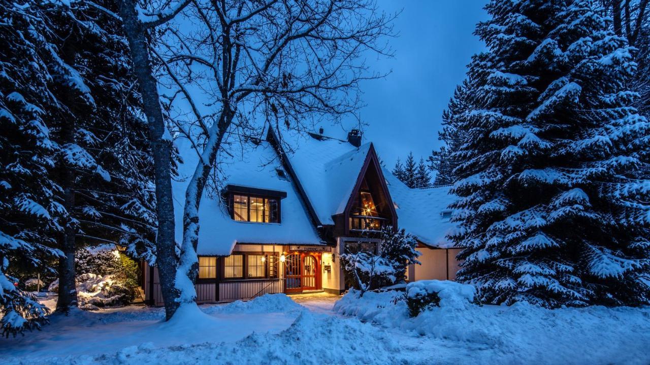 Landhaus Amselhof Hinterzarten Exteriér fotografie