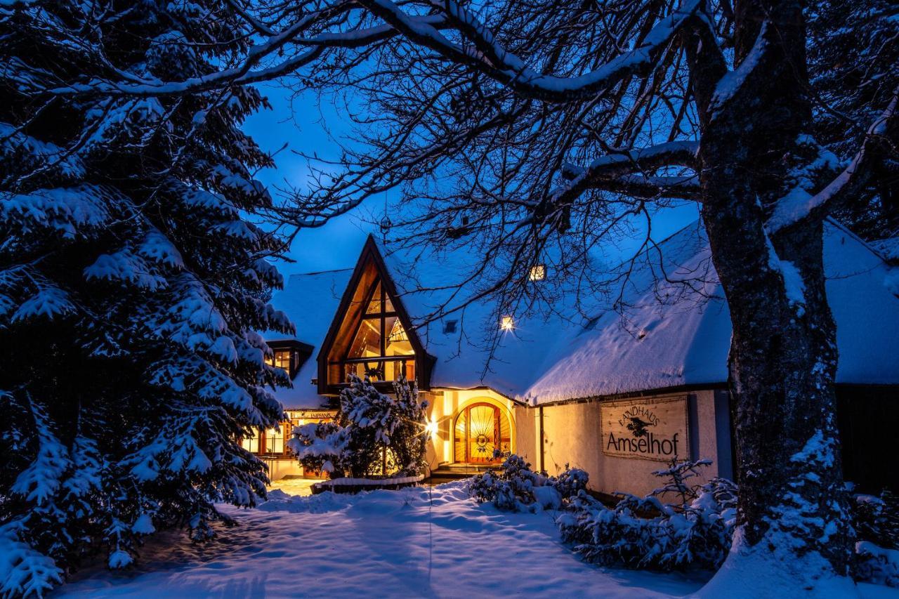 Landhaus Amselhof Hinterzarten Exteriér fotografie